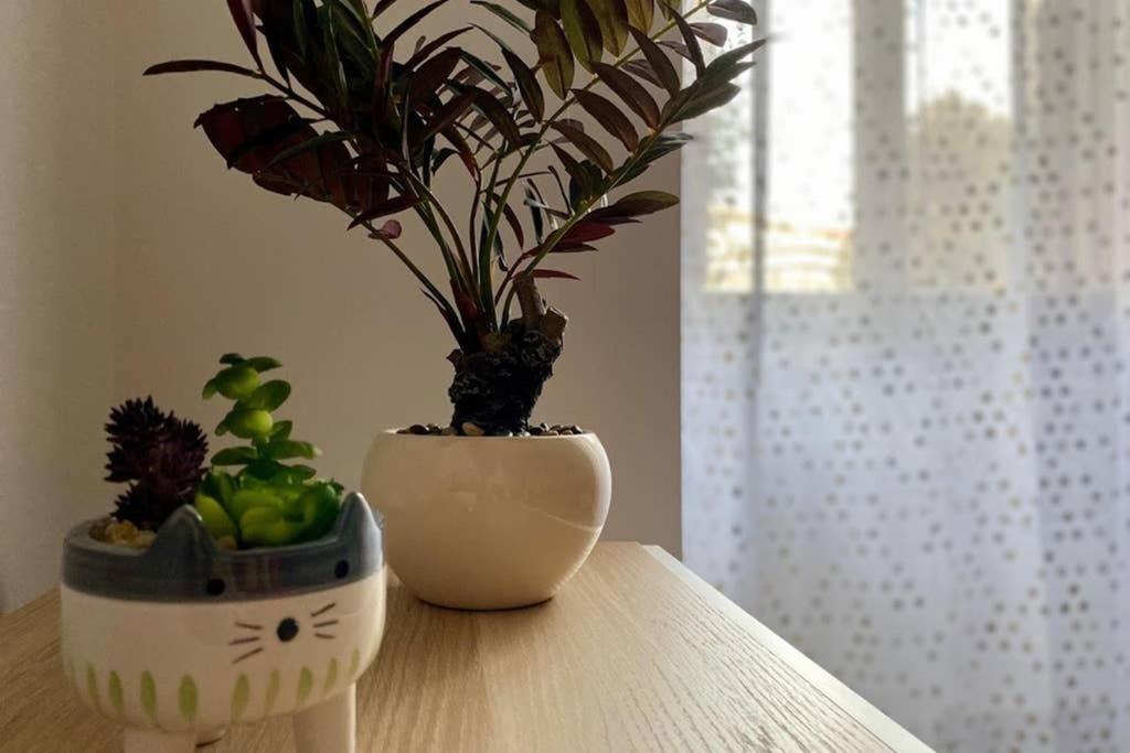 Modern -locazione Turistica- Apartamento *